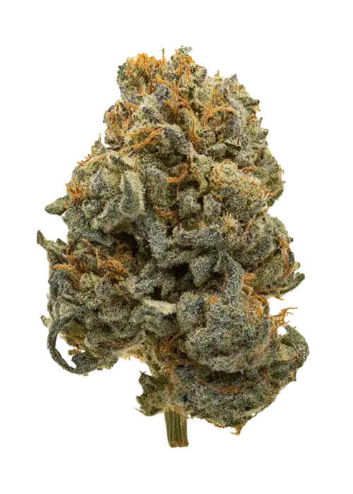 Sour Z