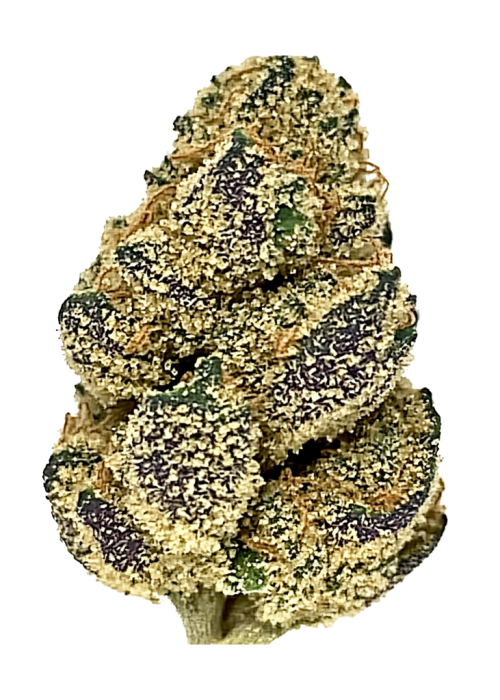 Cereal a la Mode
