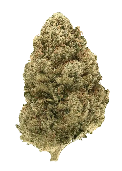 Lemon Zkittlez