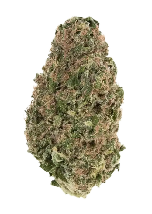 Durban Dream