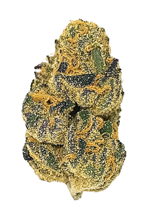 Honeydew