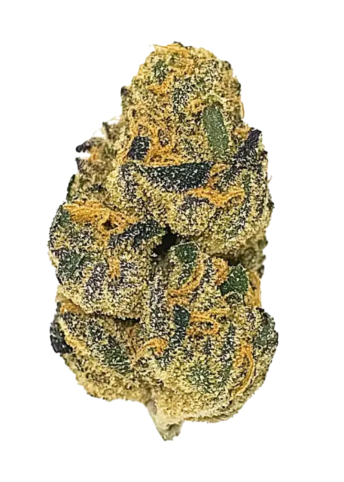 Honeydew