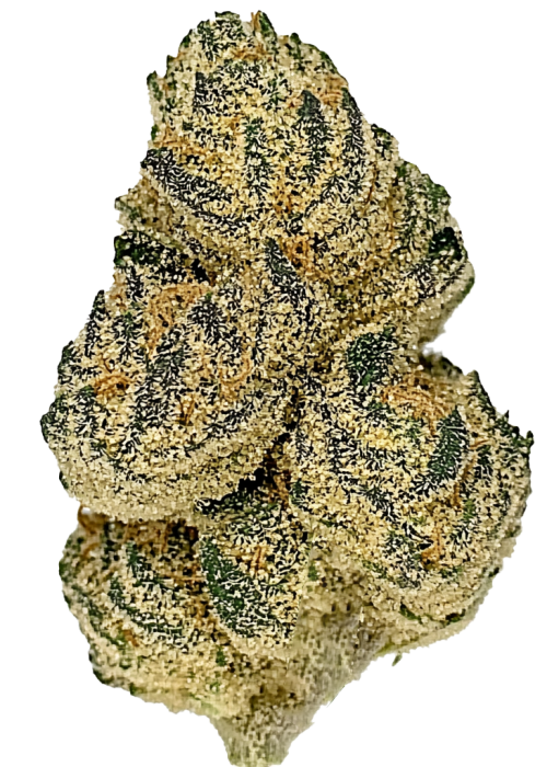 Sourdough Kush