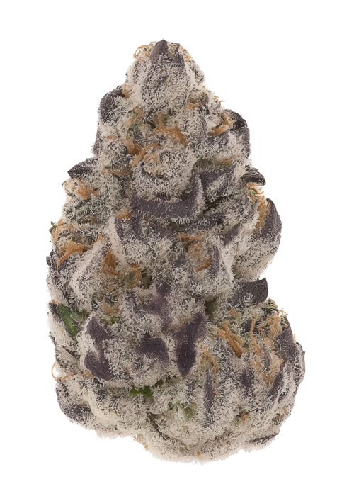Rainbow Lava