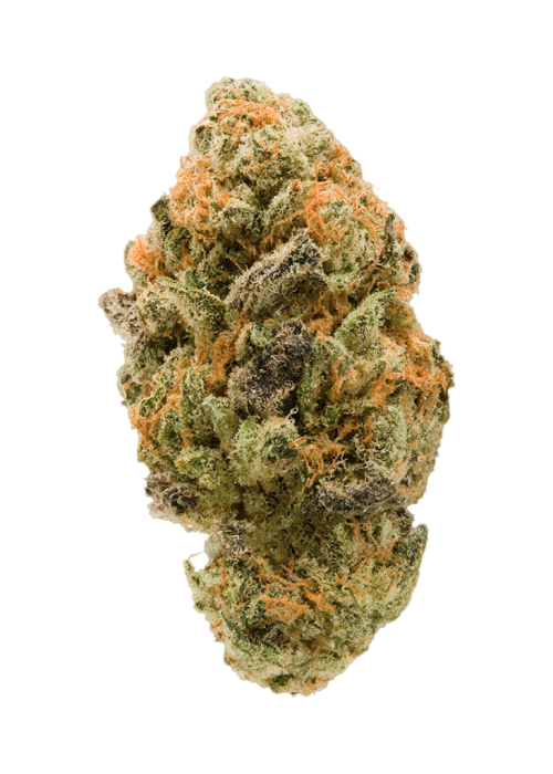 Orange Punch