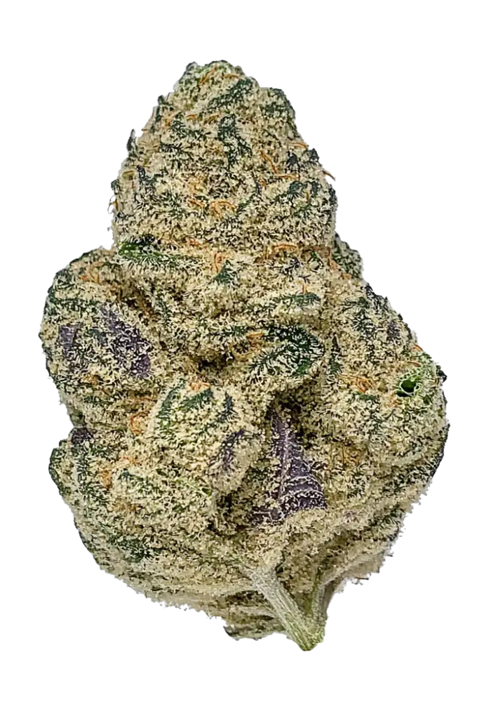 grandPa！　ROBUST RSC-53ML 1976-grandpa-s-stash_1000.webp