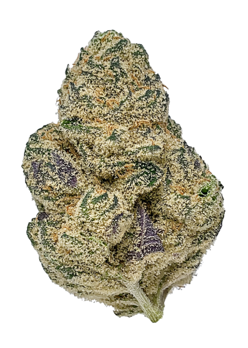 Grandpa’s Stash