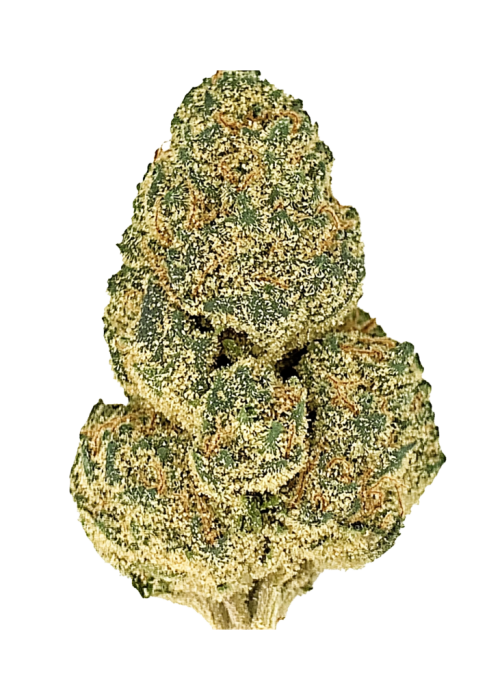 Black Triangle Cannabis Strain Information - GrowDiaries