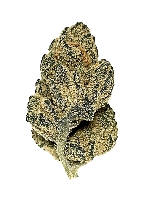 Rainbow Zkittlez