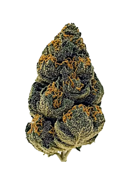 Banana MAC