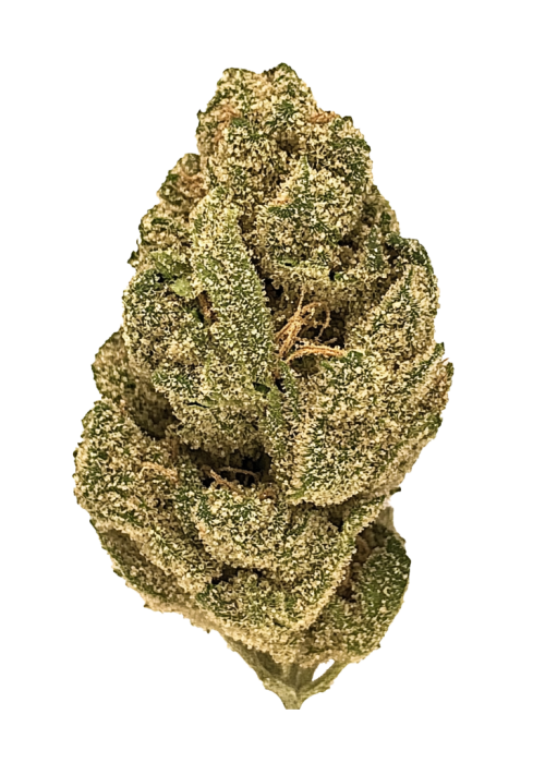 Candy Jack