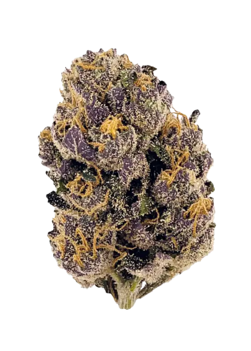 Purple Kush