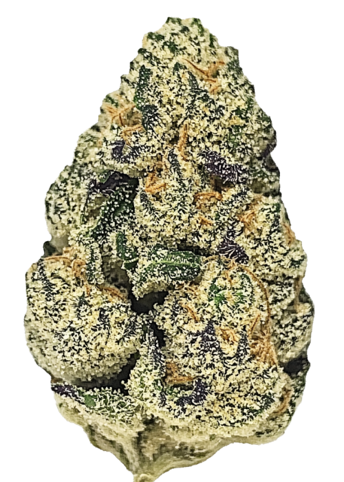 Grape Fritter