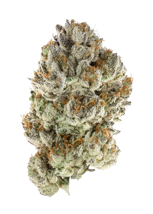 Reserve OG