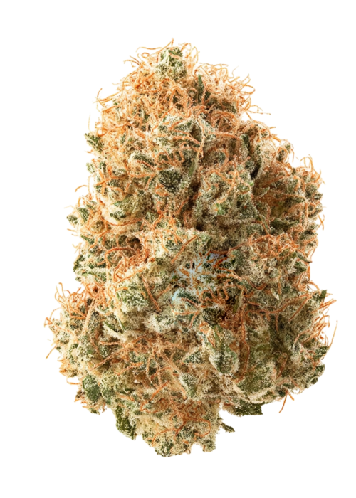 Orange Runtz