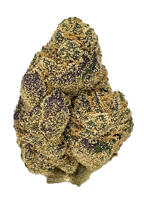 Orange Runtz