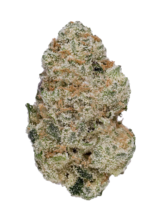 Alaskan Thunder Fuck