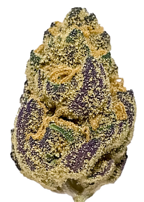 Space Cookies