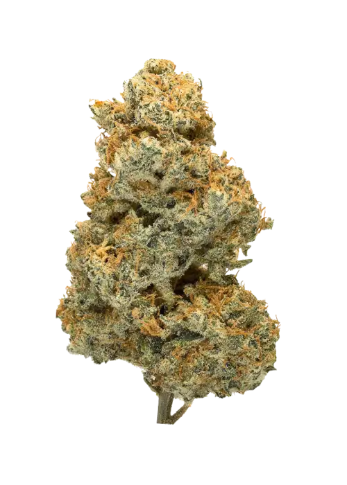 Space Cookies