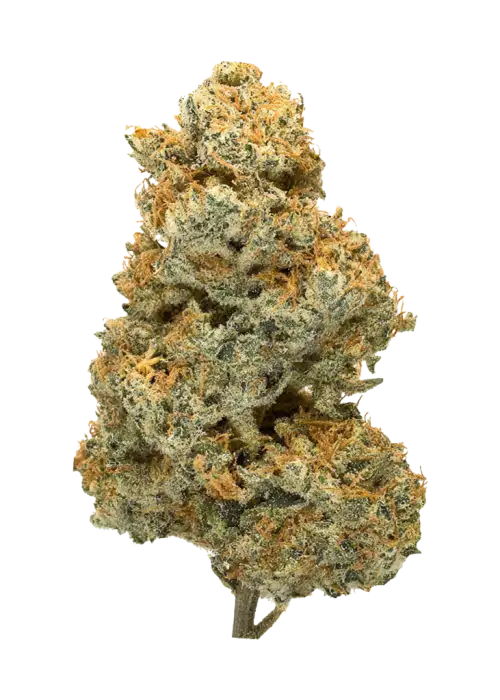 Space Cookies