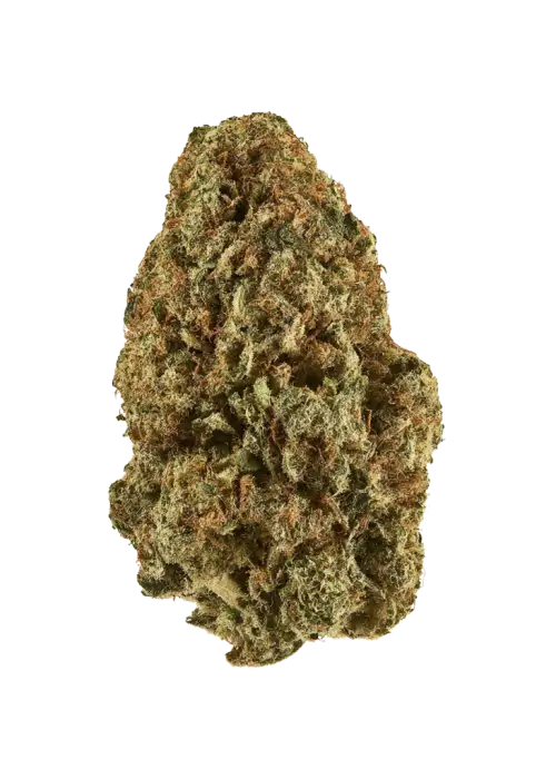Deadhead OG
