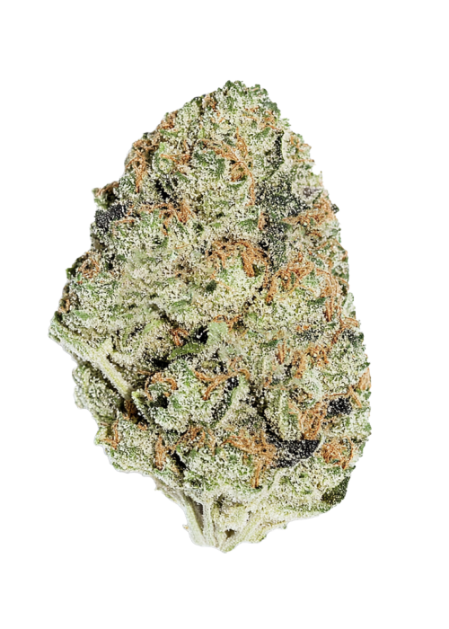 Gorilla Breath