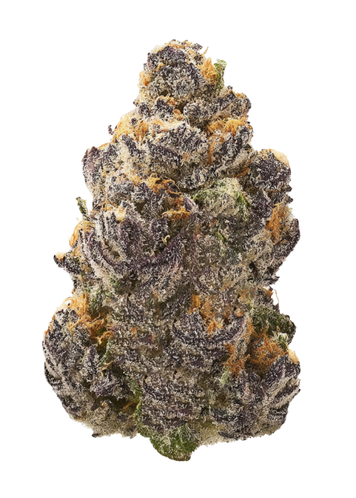 Ayahuasca Purple