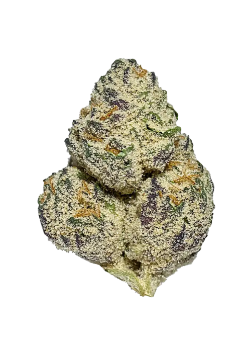 Frosted Donut
