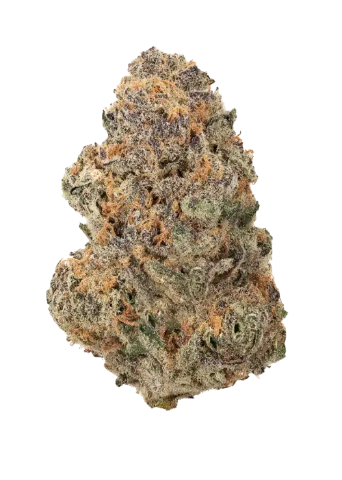 Grape Kush
