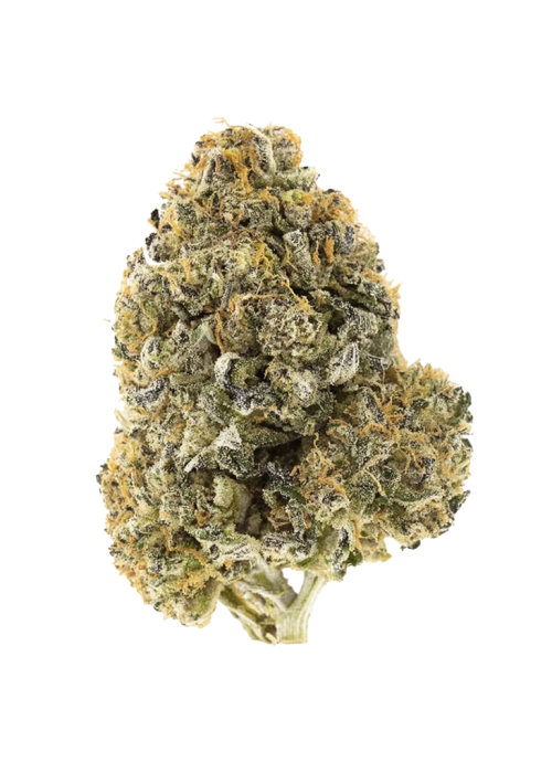 Sour Jack