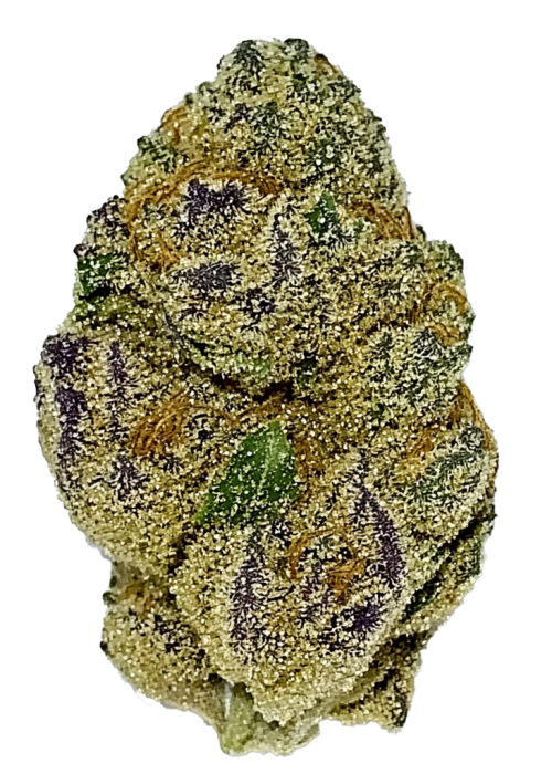 Sour Jack