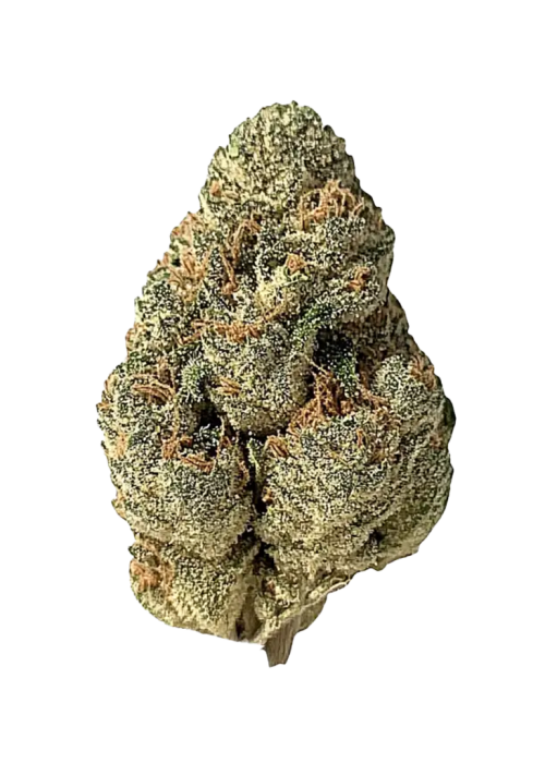 Fish Scale