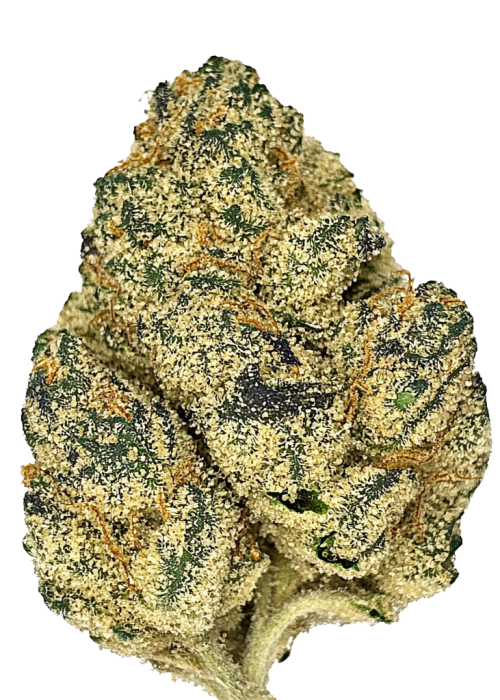 Funnel Cake