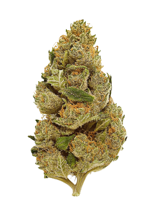 Hell's OG