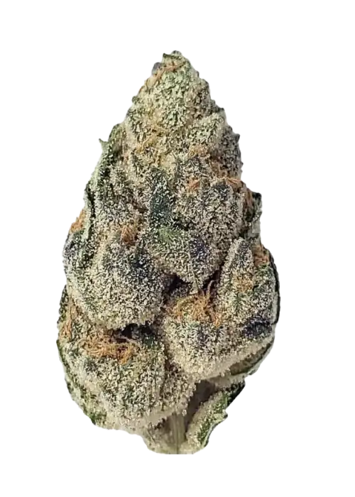 Blueberry Cruffin