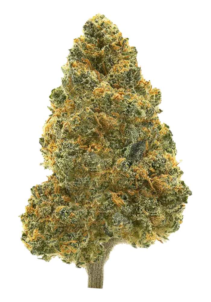 Sour Diesel