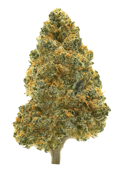Sour Diesel