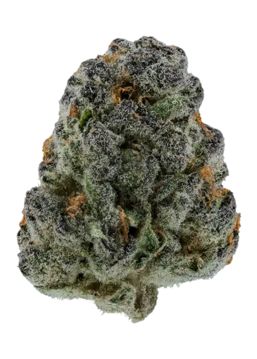 Coco Chanel