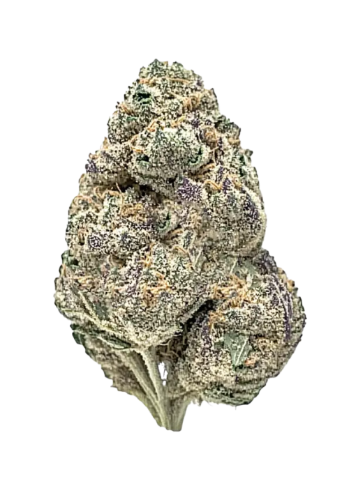 Pink Acai