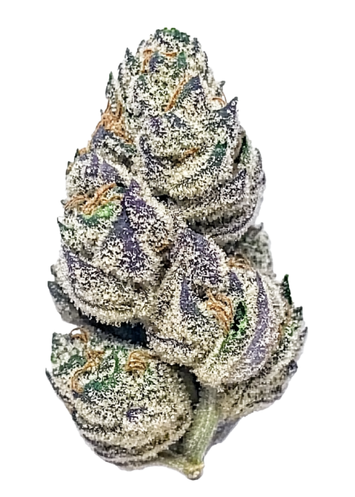 Lemon Mints