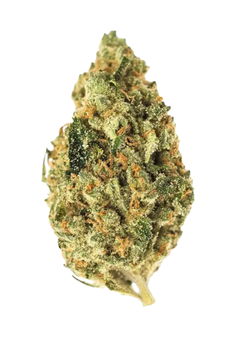 Colombian
