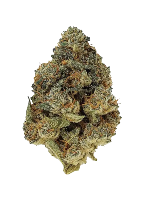 Sherbet BX