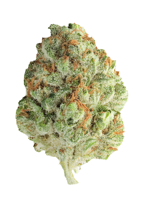 Diesel