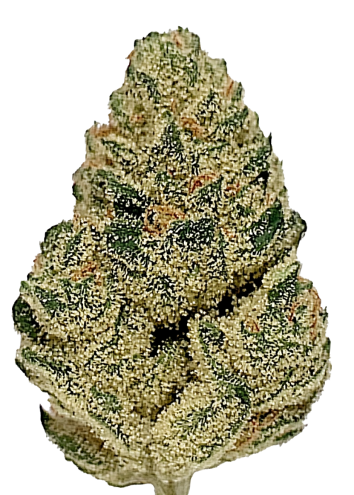 White Walker Kush