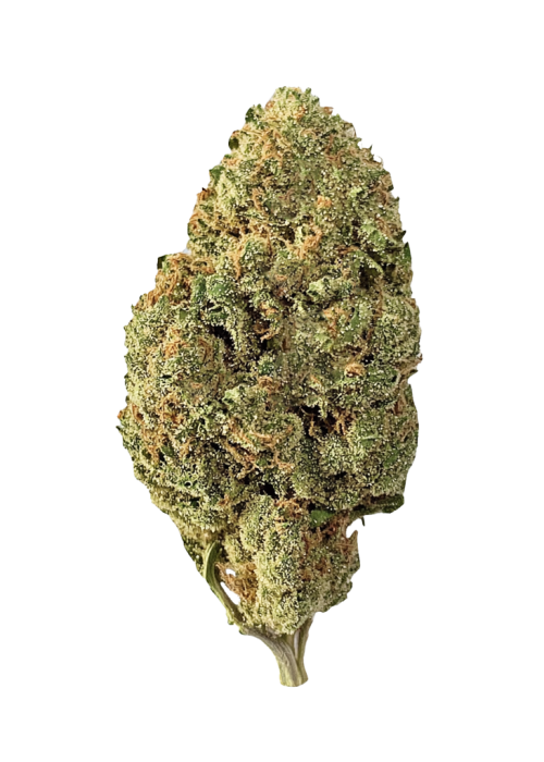 Rainbow Melon
