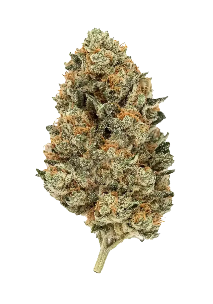 Lemon Mandarin