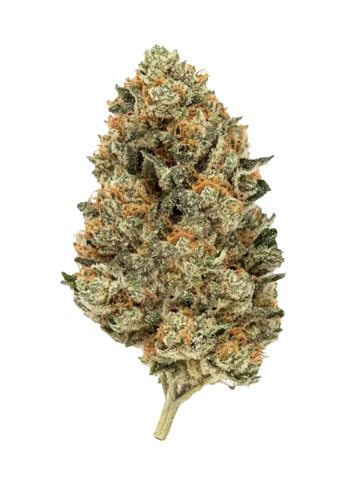 Lemon Mandarin
