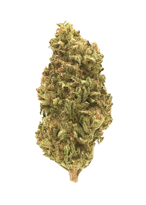 South Florida OG