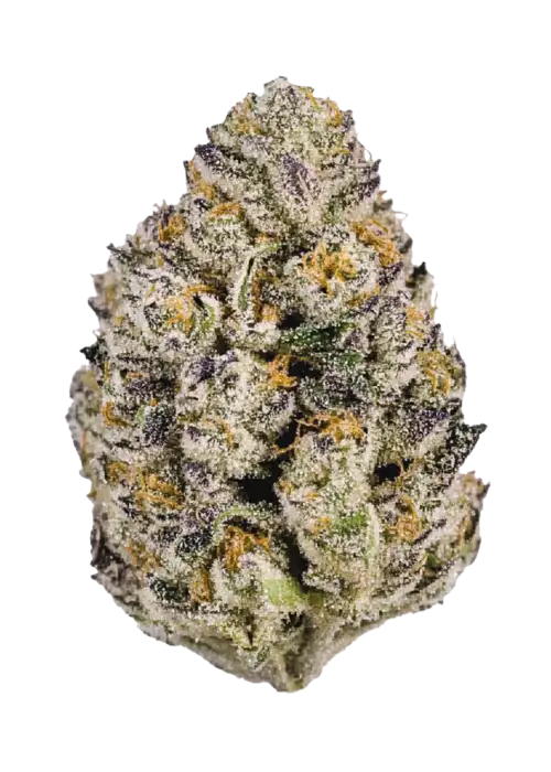 Lemon Cherry Runtz