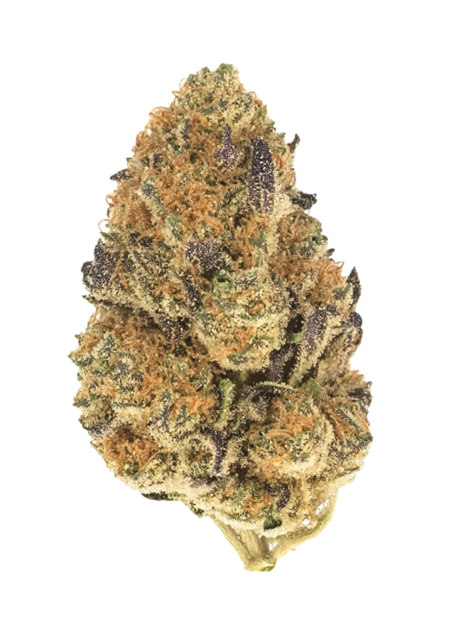 Banana Cream